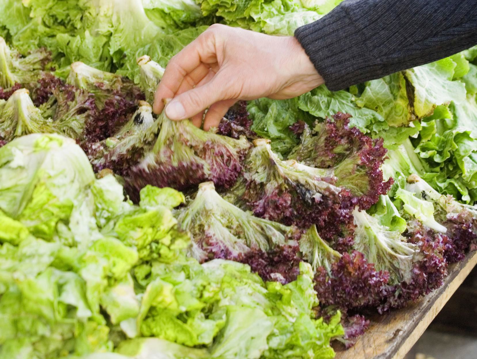 Winter Farmers Market